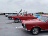 GTOs-at-Petersens