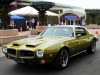 Jimmys-Firebird